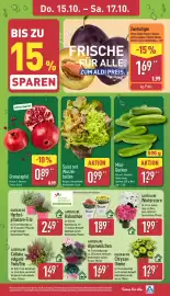 Aldi Nord Prospekt woche 42 Seite 29: Salat mit Wurzelballen €0,99, GARDENLINE Chrysanthemen €1,29