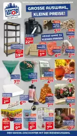 CENTERSHOP Prospekt woche 41 Seite 1: Herbst-Mix €5,99, Halloween-Kürbis €4,99