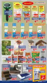 CENTERSHOP Prospekt woche 41 Seite 13: ARDAP Wespen Spray €12,99, ARDAP Spinnen Spray €12,99
