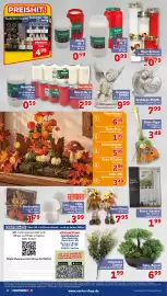 CENTERSHOP Prospekt woche 41 Seite 2: Grabdeko ENGEL €9,99, Herbstdeko €1,79