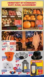 CENTERSHOP Prospekt woche 41 Seite 3: Halloween-kürbis €0,89, Sammeleimer Kürbis €1,29