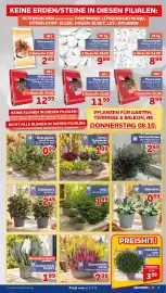 CENTERSHOP Prospekt woche 41 Seite 5: Sommerheide FLUFFY €1,99, Sommerheide Schale €7,99
