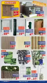 CENTERSHOP Prospekt woche 41 Seite 6: EURO-Gartenzaun €39,99, Sichtschutz Vollmaterial Color €49,99