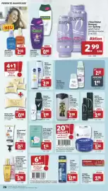 Famila Nord West Prospekt | Markt - Angebote Seite 26: Syoss Haarspray oder Schaumfestiger €3,49