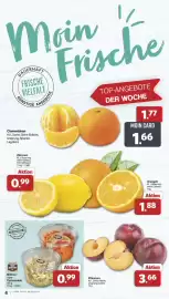 Famila Nord West Prospekt | Markt - Angebote Seite 4: Moin Frische DAUERHAFT FRISCHE VIELFALT GÜNSTIGE Clementinen KI. I