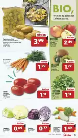 Famila Nord West Prospekt | Markt - Angebote Seite 5: Speisekartoffeln €3,99, NATURWERT Bio Bio Kiwi €1,77