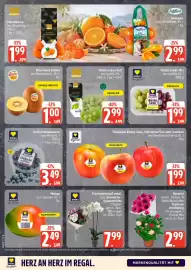 Marktkauf Prospekt woche 41 Seite 4
