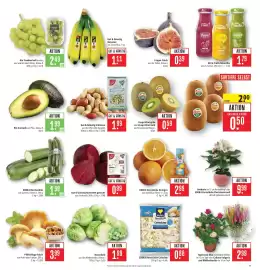 Marktkauf Prospekt woche 41 Seite 7