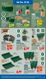 Lidl Prospekt woche 42 Seite 47