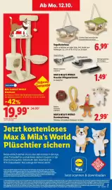 Lidl Prospekt woche 42 Seite 9