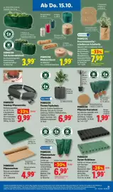Lidl Prospekt woche 42 Seite 51