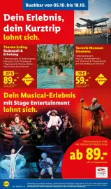Lidl Prospekt woche 42 Seite 74