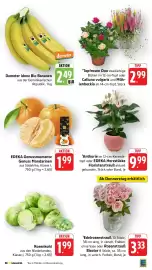 E-Center Prospekt woche 41 Seite 15