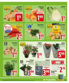 Edeka Prospekt woche 41 Seite 5