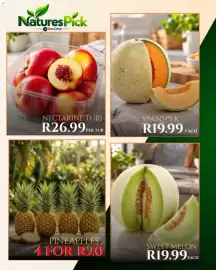 Take 'n Pay catalogue Page 11