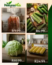 Take 'n Pay catalogue Page 13