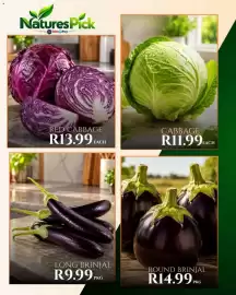 Take 'n Pay catalogue Page 14