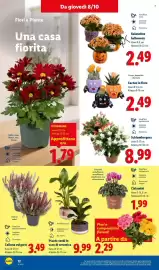 Volantino Lidl settimana 41 Pagina 32: Fiori e composizioni floreali €2,29, Ciclamini €1,99