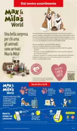 Volantino Lidl settimana 41 Pagina 43