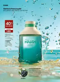 Catálogo Natura Página 25