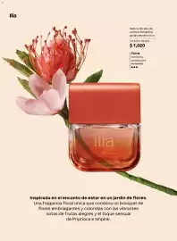Catálogo Natura Página 40