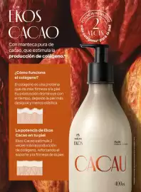 Catálogo Natura Página 96