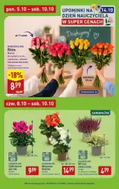 ALDI gazetka tydzień 41 Strona 38: GARDENLINE Begonia Elatior €14,99, GARDENLINE Róże Bukiet €8,99