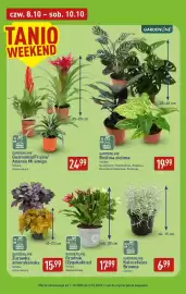 ALDI gazetka tydzień 41 Strona 39: GARDENLINE Kalocefalus Browna €6,99, GARDENLINE Grudnik (Zygokaktus) €17,99