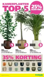 Ranzijn folder Pagina 12: VIJGENBOOM FICUS MI MOCLAME €22,46, Goudpalm dypsis lutescens €22,46