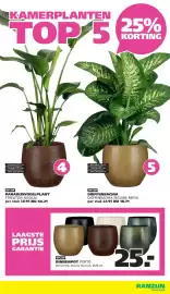 Ranzijn folder Pagina 13: OP=OP BINNENPOT PORTO €25,00, PARADIJSVOGELPLANT STRELTZIA NICOLAI €44,21