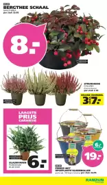 Ranzijn folder Pagina 14: EMMER MET OPGEPLANTE BLOEMBOLLEN €19,00, Struikheide calluna €3,70
