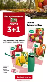 AVEVE folder Pagina 22