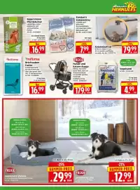 Herkules Baumarkt Prospekt woche 41 Seite 15