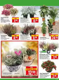 Herkules Baumarkt Prospekt woche 41 Seite 2