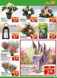 Herkules Baumarkt Prospekt woche 41 Seite 3