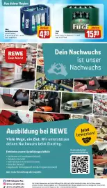 REWE Kaufpark Prospekt woche 41 Seite 33