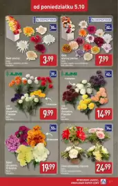 ALDI gazetka tydzień 41 Strona 7