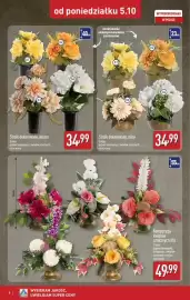 ALDI gazetka tydzień 41 Strona 8