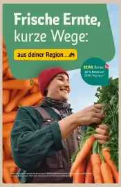 REWE Center Prospekt woche 41 Seite 31
