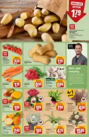 REWE Center Prospekt woche 41 Seite 9
