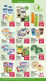 Wasgau Prospekt woche 41 Seite 10: Ehrmann Früchte-Traum oder Vanille-Traum €0,49, Kerrygold Käsescheiben €1,79