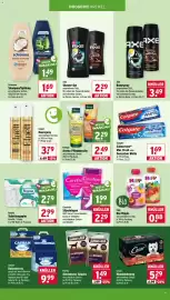 Wasgau Prospekt woche 41 Seite 19: Purina Adventuros Snacks €1,49, Carefree Slipeinlagen €1,99