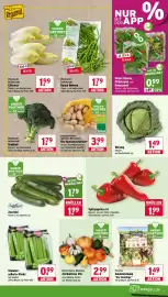 Wasgau Prospekt woche 41 Seite 7: Florette Salatmischung "Der Knackige" €1,49, Bio-Speisekartoffeln* €3,99