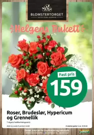 Joker kundeavis uke 41 Side 13: Roser, Brudeslør, Hypericum og Grennelli €159,00