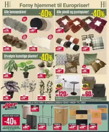 Europris kundeavis uke 41 Side 6: Utvalgte kunstige planter, Alle lammeskinn