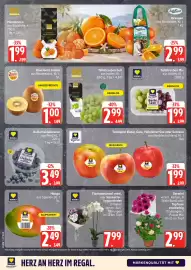 EDEKA Berger Prospekt woche 41 Seite 2