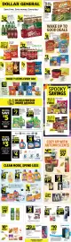 Dollar General weekly ad week 41 Page 1