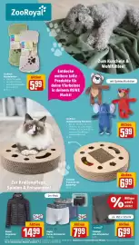 REWE Prospekt woche 41 Seite 26