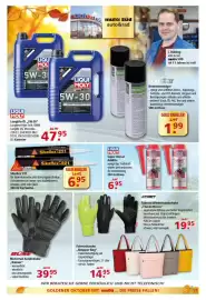 Multi Markt Prospekt woche 41 Seite 17