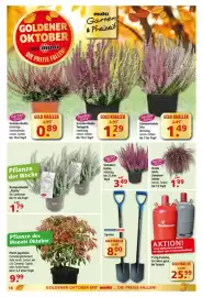 Multi Markt Prospekt woche 41 Seite 18